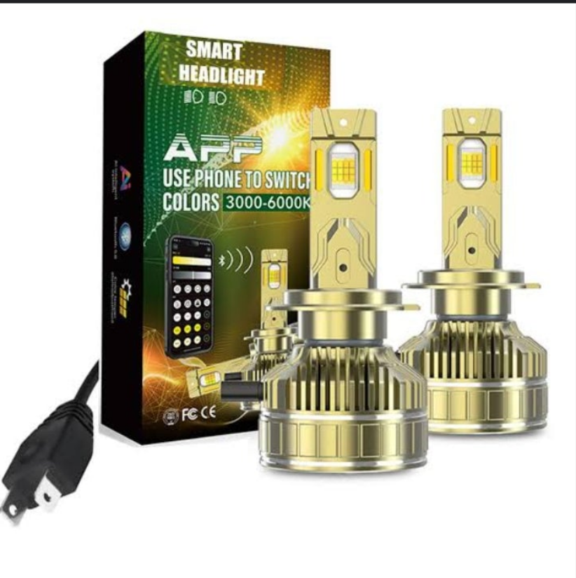 APP LED GLOBES