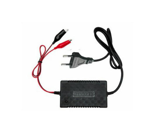 G - Amistar 12V Car Battery Intelligent Pulse Charger