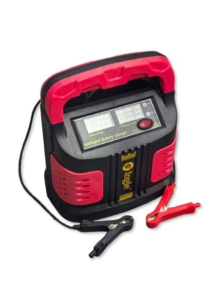 Microcomputer Battery Charger 12v/24v