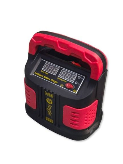 Microcomputer Battery Charger 12v/24v