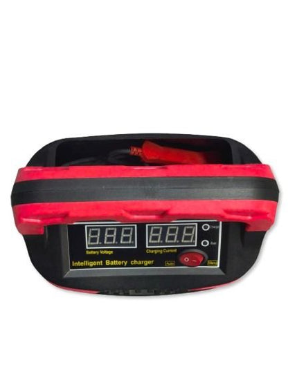 Microcomputer Battery Charger 12v/24v
